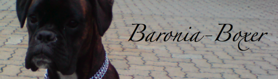 (c) Baronia-boxer.de